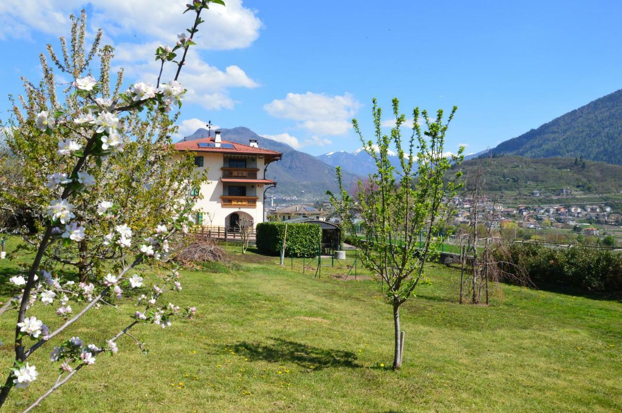 Il Gallo Pergine Valsugana Extérieur photo